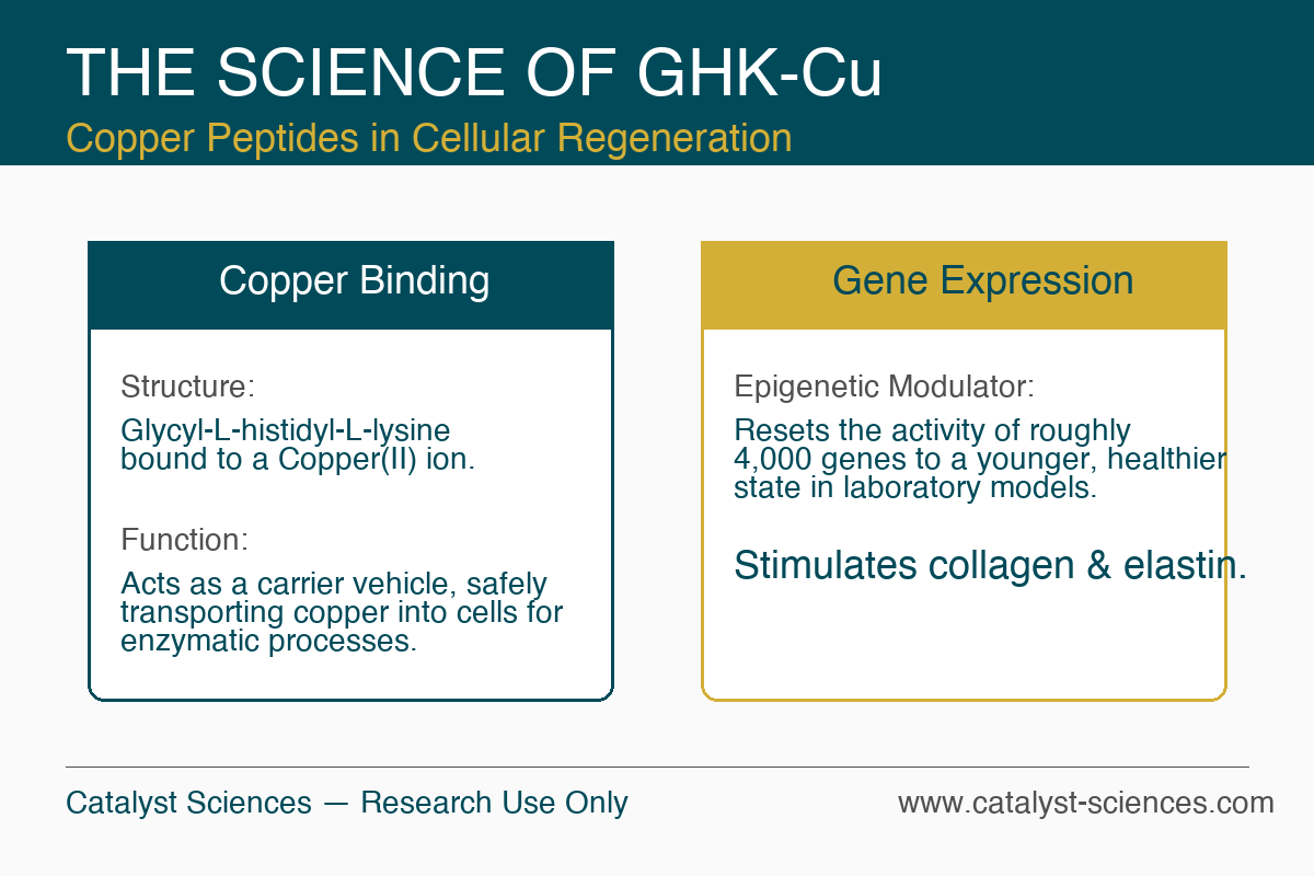 GHK-Cu Infographic — research use only