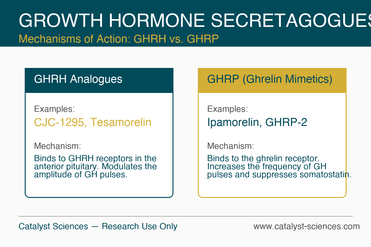 Growth Hormone Secretagogues Infographic — research use only