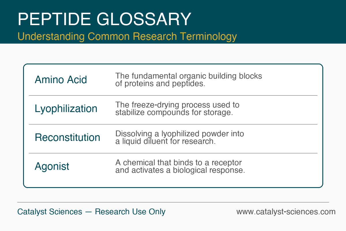 Peptide Glossary Infographic — research use only
