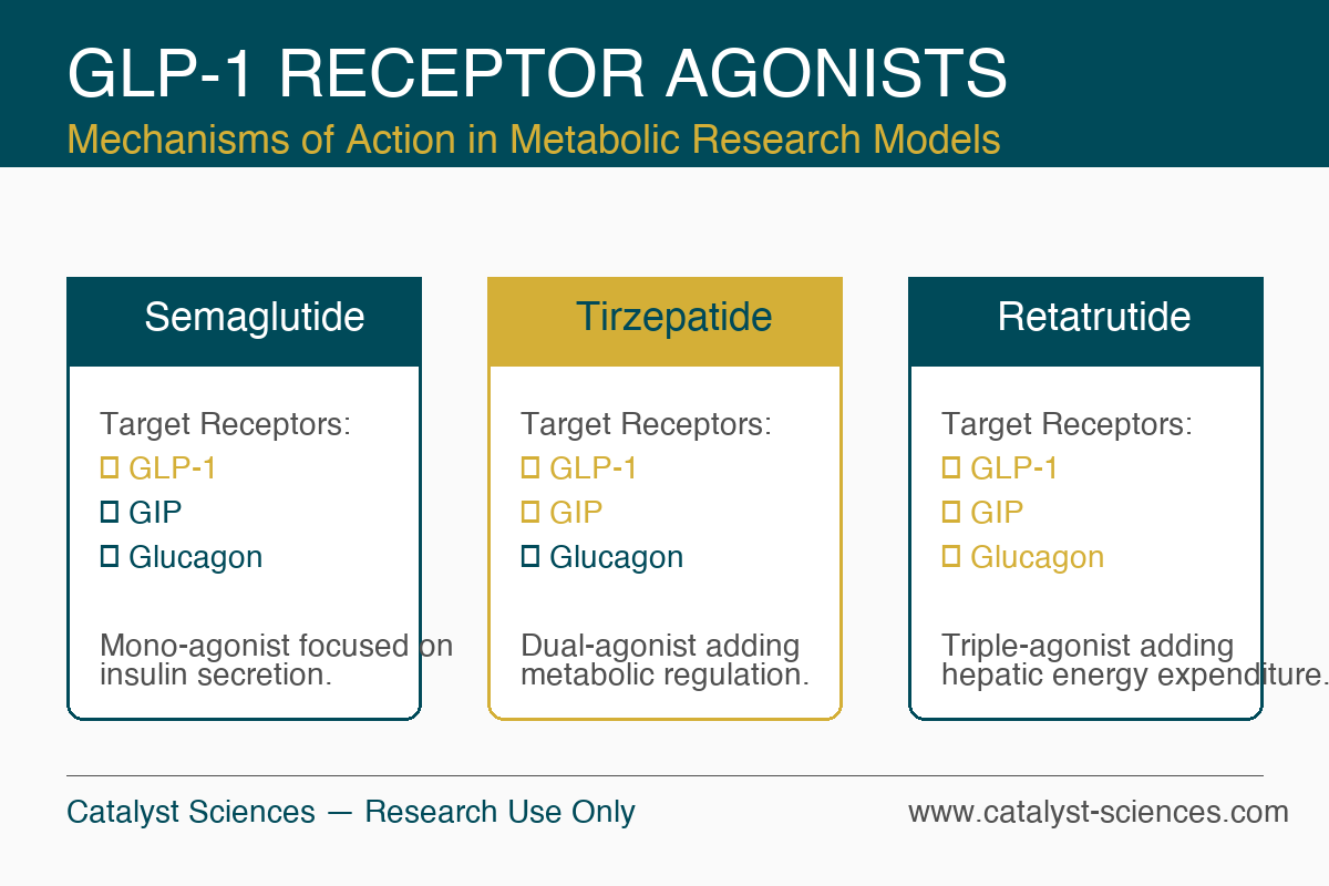 GLP-1 Receptor Agonists Infographic — research use only